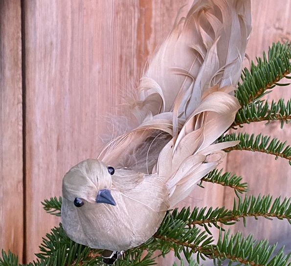Krøllfjær med klips beige fra Und