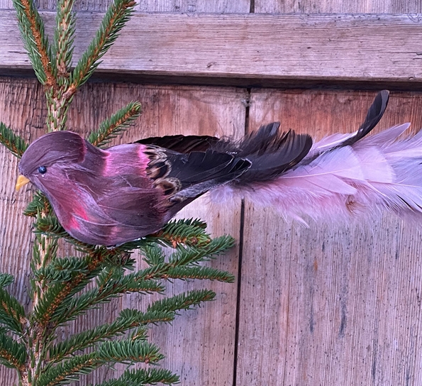 Langstjert med klips purple fra Und