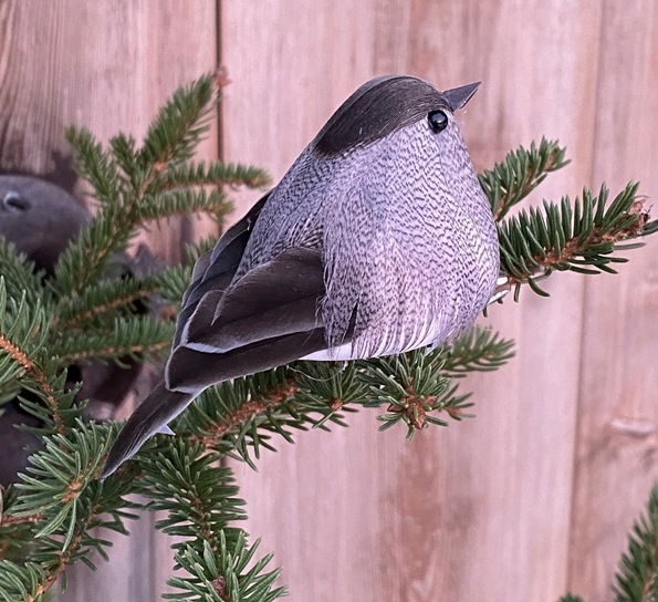 Småfugl med klips grå fra Und