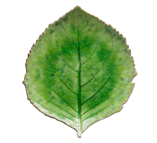 Riviera tallerken 22 cm hortensiablad grønt fra Costa Nova