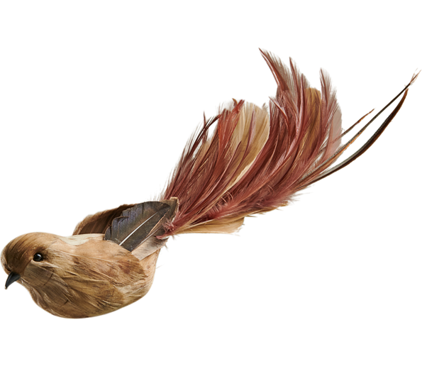 Langstjert klype beige 32 cm fra Und