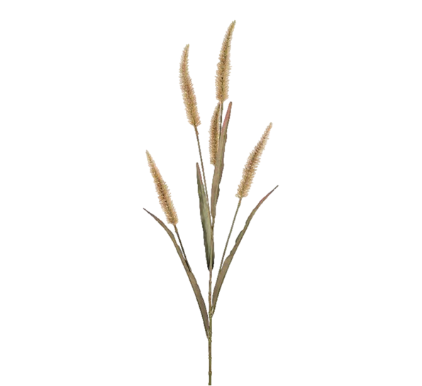 <p>Fjærbørstegress stor 130 cm Mr. Plant</p>