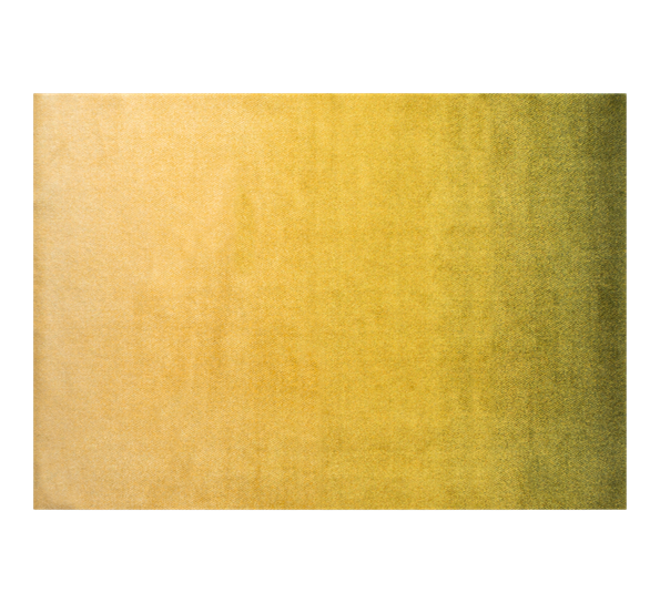 Dis Moss dørmatte 170x240 cm fra Heymat